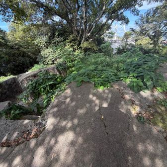 「古城山砲台跡」が最も高い場所ですが
これは人工物なので山頂ではありません。