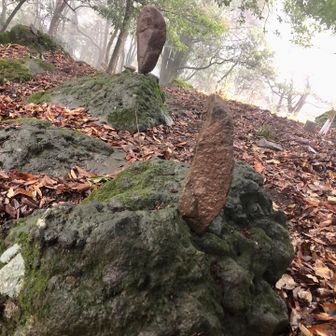 このバランス石🪨凄いでしょ‼️🤣
手前のバランス石は　私作です✌️😉