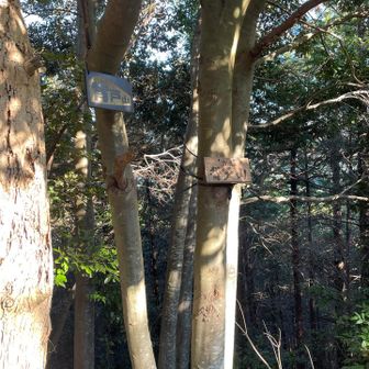 背戸山　ここはピストンが必要です