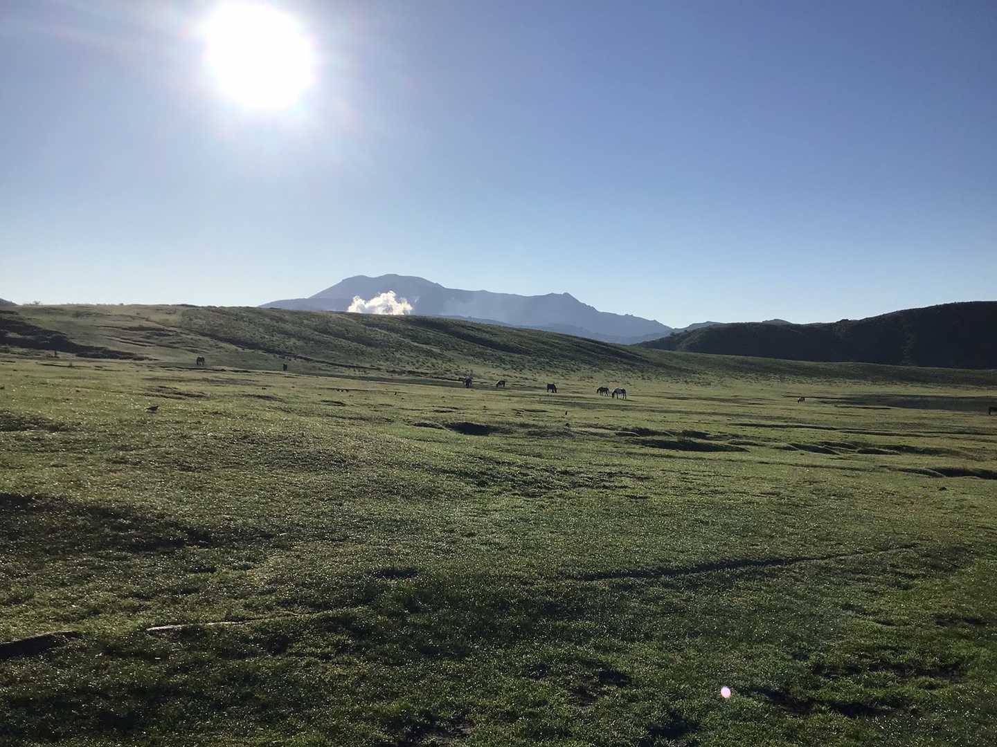 草千里登山口-烏帽子岳 周回コースの写真