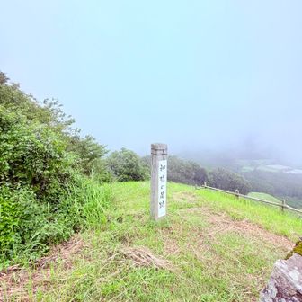 　　　🤔　神様の足跡？