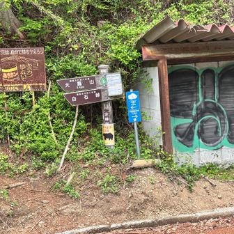 大霧山へ