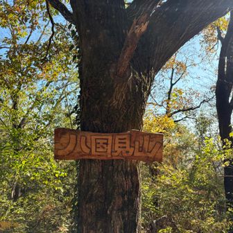 八国見山（やくにみやま）山頂🙌

駿河、伊豆、甲斐、相模、武蔵、安房、上総、下総が昔は見えたのでしょうね👀