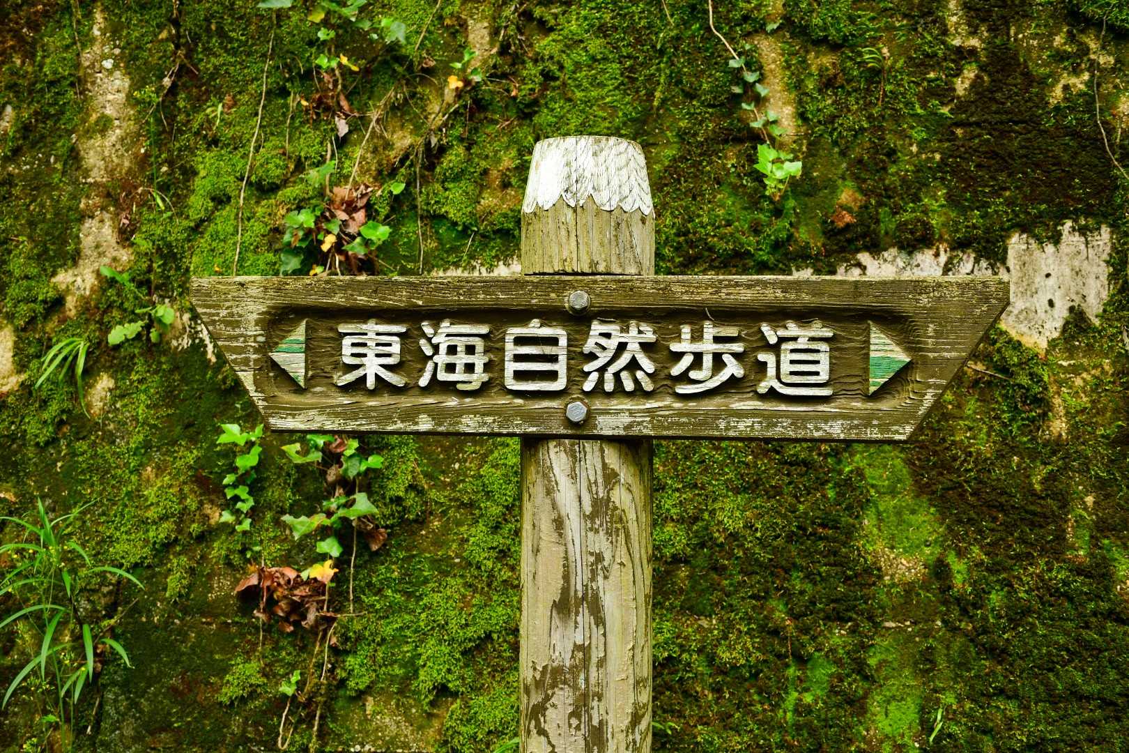 高根山-山星山 周回コースの写真