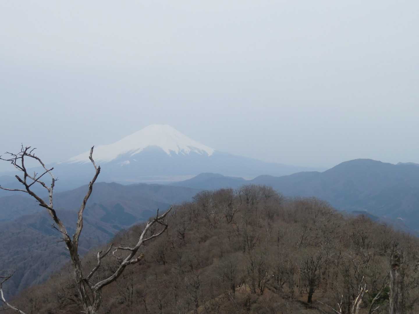 シツコイ富士山🗻‼️