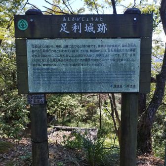 両崖山