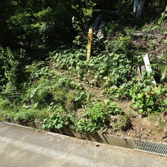 金山登山口。
