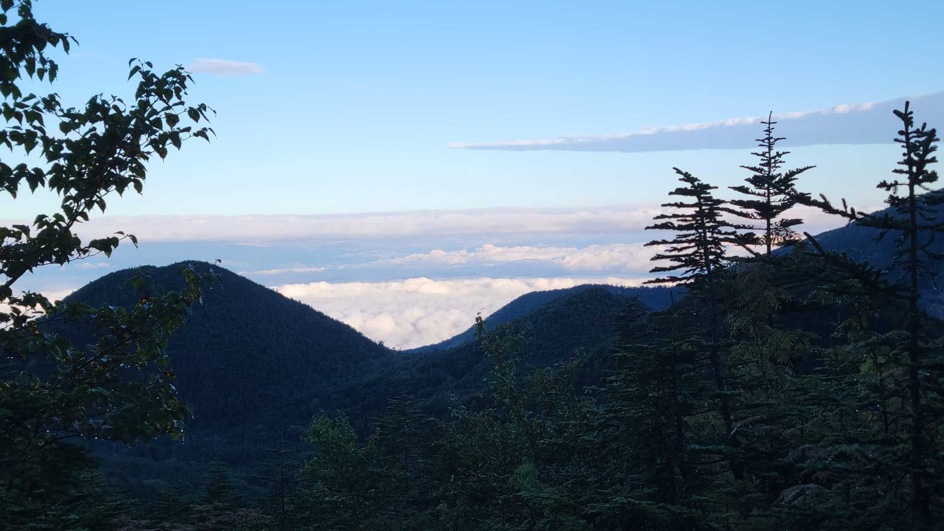 美濃戸口-北沢-行者小屋-地蔵ノ頭-赤岳-南沢 周回コースの写真