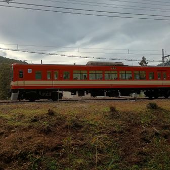 上を見ると目の前が線路😳
ちょうど飯能行きが通り過ぎるところだった😅