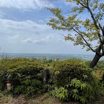 また下って最後に第一展望台からの眺め✨

桜🌸の季節も綺麗ですよ！と教えていただいたので、桜の咲く時にも来てみたいと思いました♪