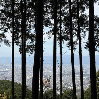 雨上がりの微妙な眺め