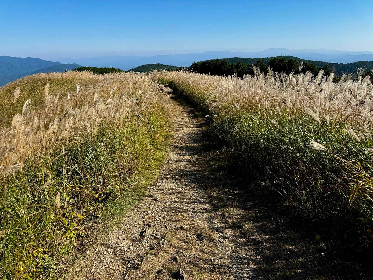 季節の変わり目に、ダイヤモンドトレールで岩湧山への写真
