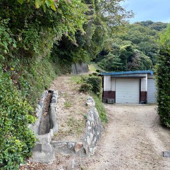 左を登っていく