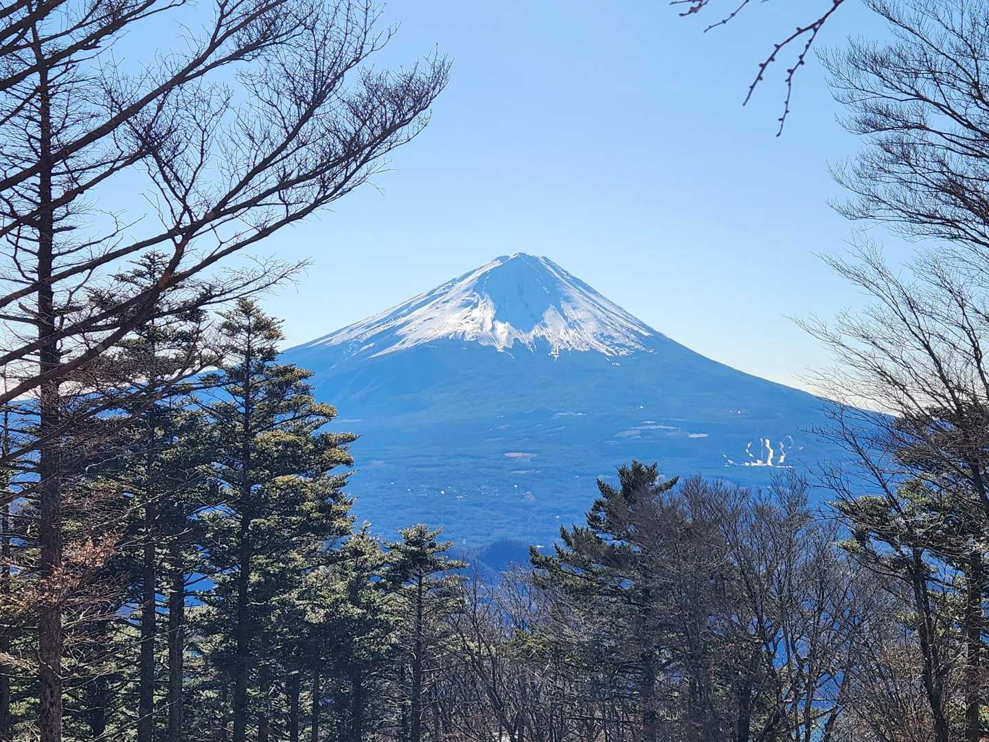 金山からの富士山