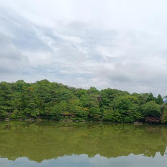 再度公園、修法ケ原池に到着。人影もまばら。ところどころでお昼を広げてはる。お腹が減ってきたけど、今日は植物園までガマンしよ。