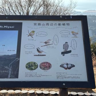 🐦🐧たくさんの鳥がいるみたいですね〜🥰