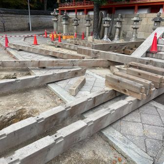 拝殿前の木組みと穴

拝殿前にきれいに整頓された木組を解体された柱状のものが並んでいた。

なんだろうと不思議に思った。その傍にいくつかの直方体の穴があり、その先端には長めのコの字型コンクリート様のものが置かれてあった。さらにその先に円形の穴もある。古代の祭祀跡ではなさそうだ。では何のためか、想像と幻想の浮遊が始まりそうだ。