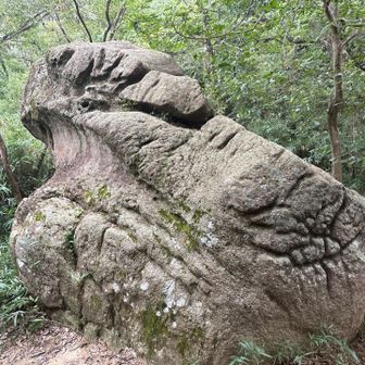 蛙岩、でかいよ