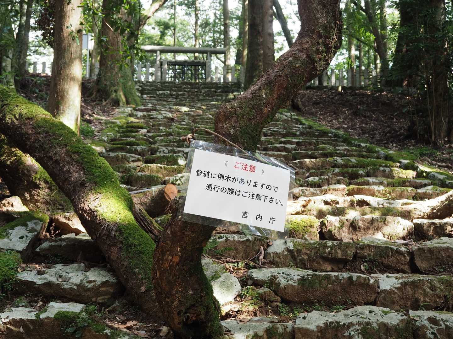 宮内庁の管轄😱