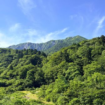 夏山登山口から出発！
大山が綺麗に見える⛰️✨️
登山道が崩れてなければ縦走したいんだけどな〜