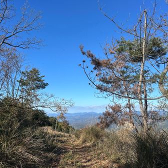 元の道に戻れた⸜(* ॑꒳ ॑* )‪⸝
ここの景色もなかなか良かったよぉ♡