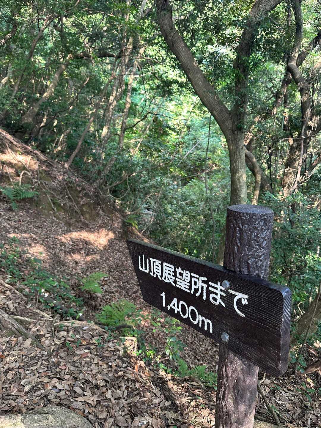 可也山 縦走コースの写真
