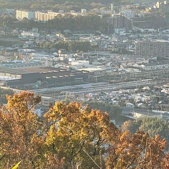 南海電車の千代田工場、検車区、車庫が見えます🚃🚃