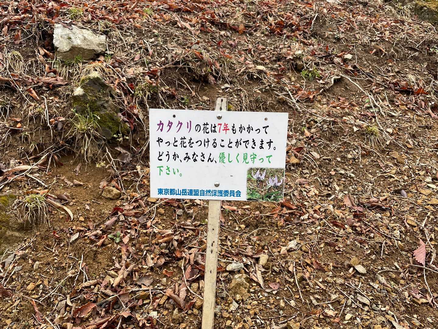 奥多摩湖いこいの路入口-指沢山-惣岳山-御前山-境橋バス停 縦走コースの写真