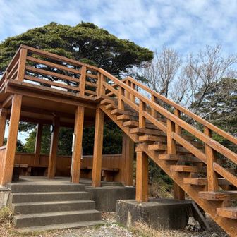 展望台メチャきれい✨