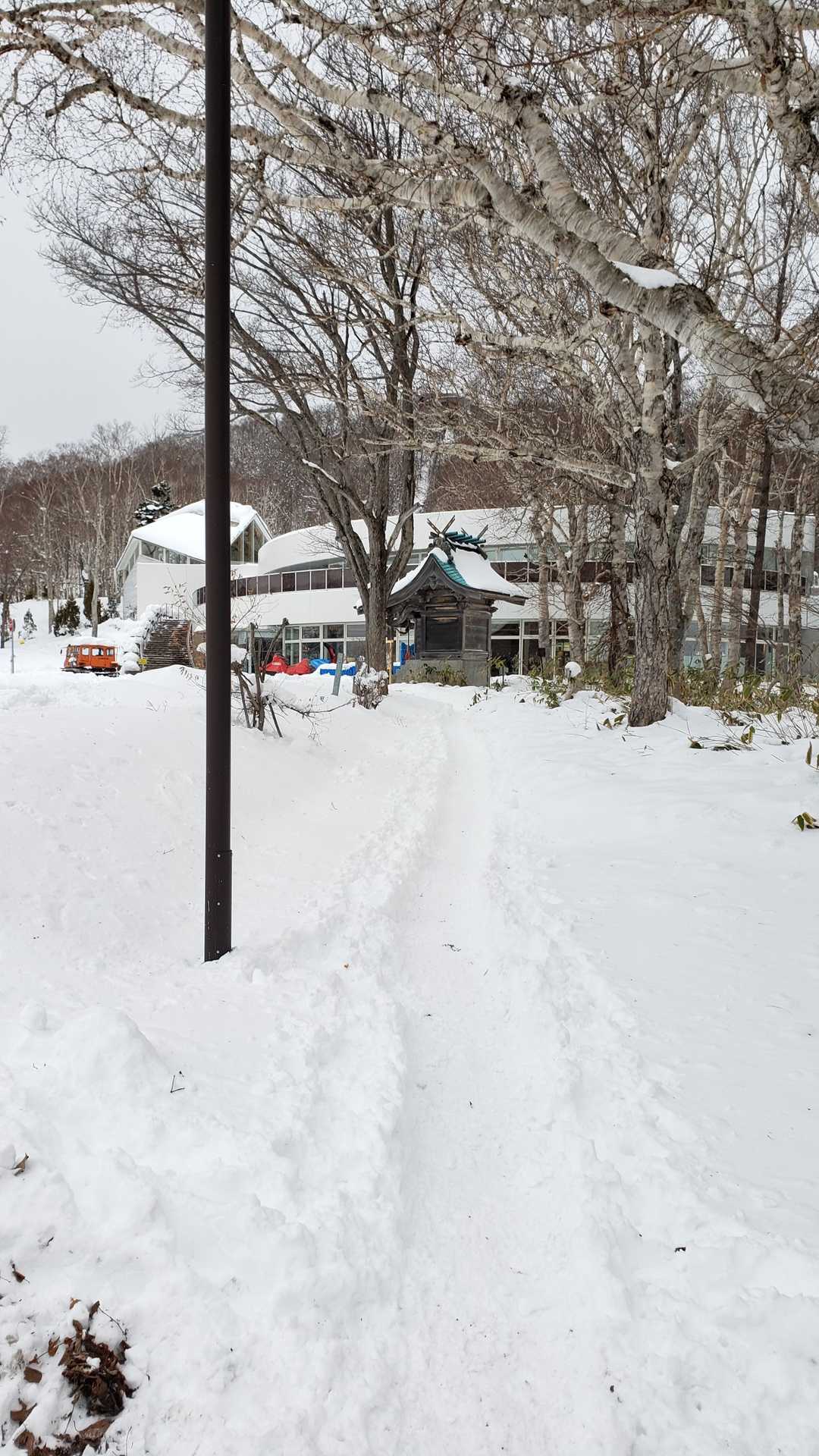 藻岩山ルート入口-山鼻山-藻岩山神社-札幌もいわ山ミニケー 往復コースの写真
