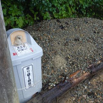 ここでさっきの石をリリース。入れてきた袋は左のボックスへ。