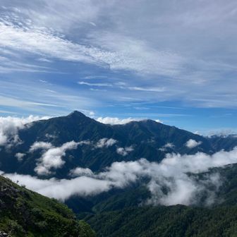 登山道から見て左の山々