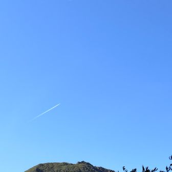 今日はたくさん飛行機雲が見えました🤭