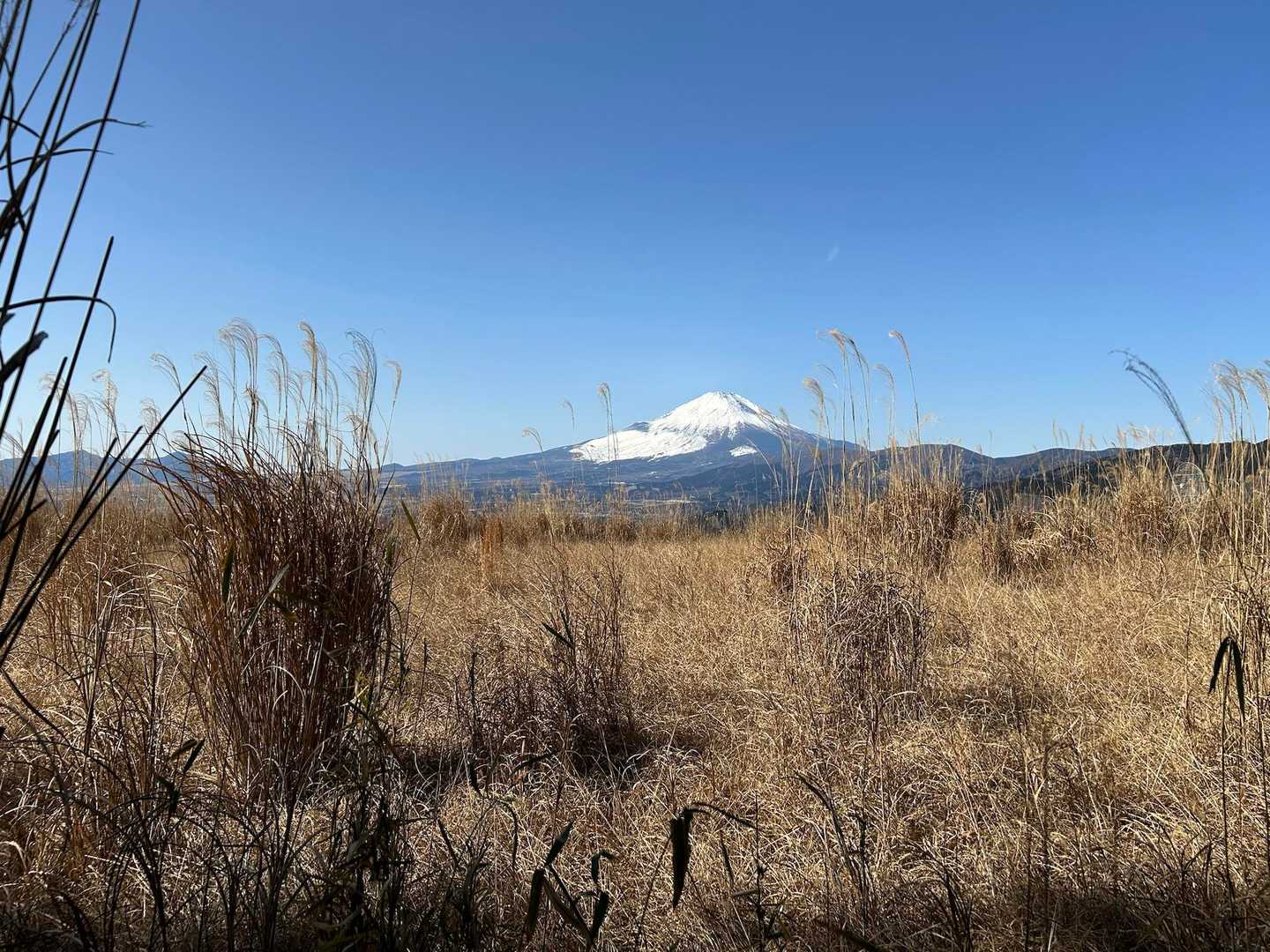 大野山 往復コースの写真