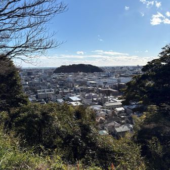 からの八幡山