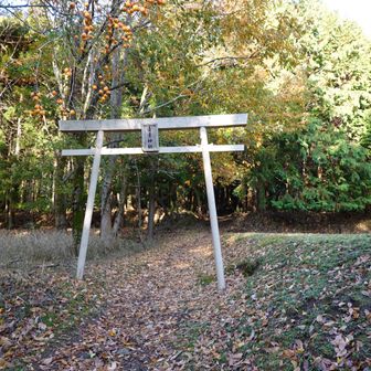 直ぐに青葉神社の鳥居
本殿は山頂