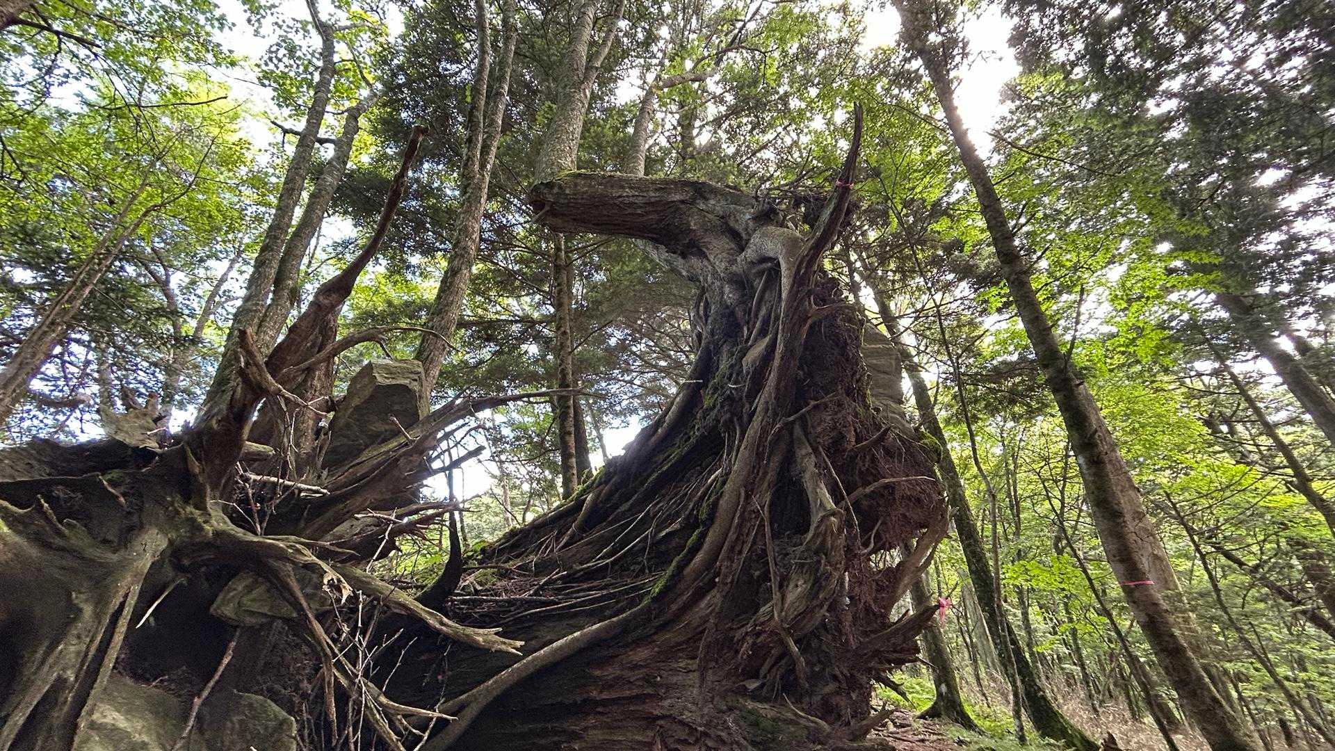 不屈の精神を学ぶ
