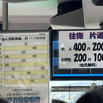 だいたい40分間隔で出てるみたいです