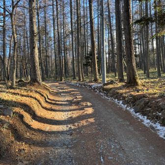 登山開始！
一般車も通れる道なのですが、かなりボコボコです。