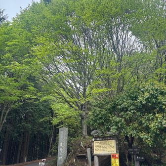 木の階段を上る