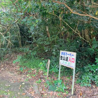 ここからジャングルの中へ。