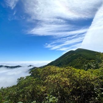 雲海と芽室岳。右端の雲が不思議な感じ
