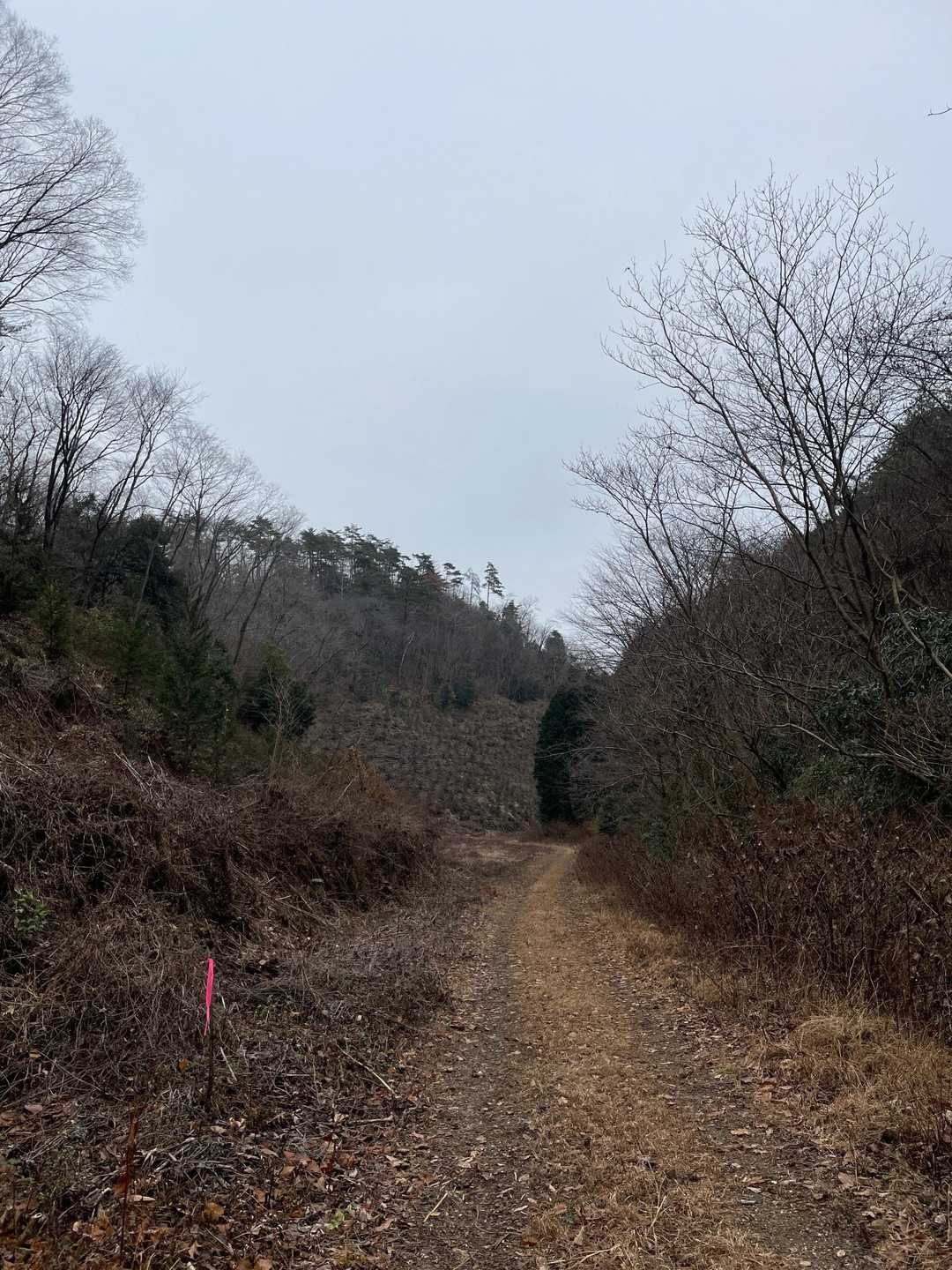 仏国寺-高取山 往復コースの写真
