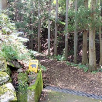最近、熊のニュースが多くて、山に行くのをためらってしまう～

今日も無事に下山した～