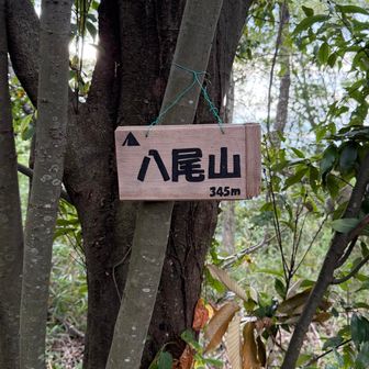 ヘトヘトになりながら1座目、八尾山到着