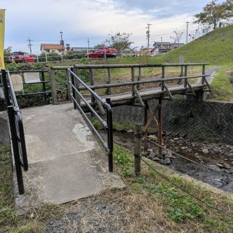 久しぶりのカタクリ橋
