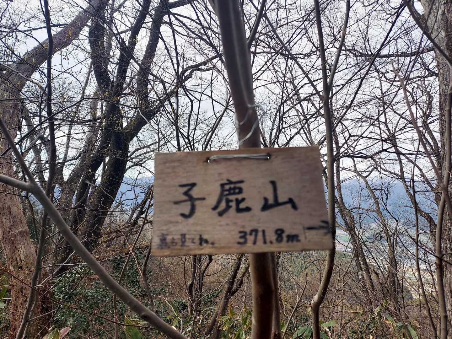 子鹿山 往復コースの写真