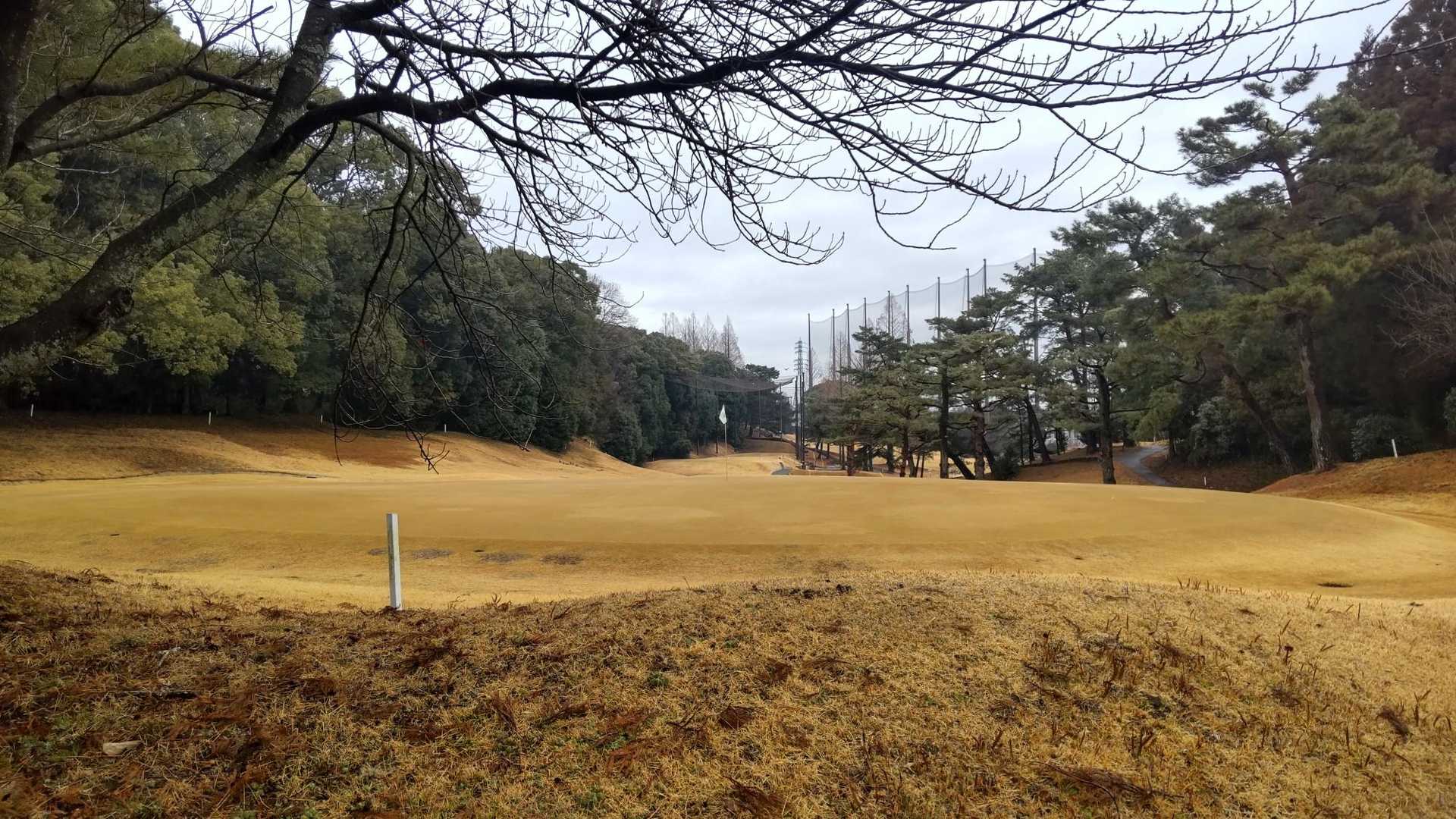 すぐ側にゴルフ場⛳️