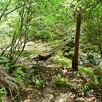 無事栃ノ木沢ルートを使って下山しここで最後の休憩😮‍💨降りもキツかったのか膝に違和感が💦🦵🏻
2ヶ月半後の富士登山に向け更にトレーニングしとかないと🏋️