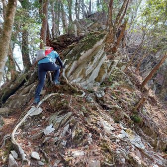 慎重にね～📣
石落とさんでよぉ～w